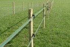 Cambarvilleelectric-fencing-4.jpg; ?>